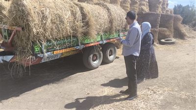 وكيل زراعة القليوبية يتفقد أماكن تجميع قش الأرز ويعلن جاهزية زراعة القمح