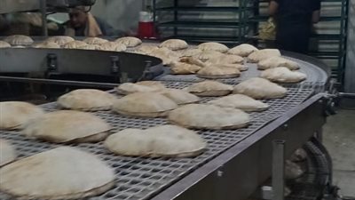 تحرير 53 محضر تمويني متنوع لمخابز مخالفة بمحافظة البحيرة