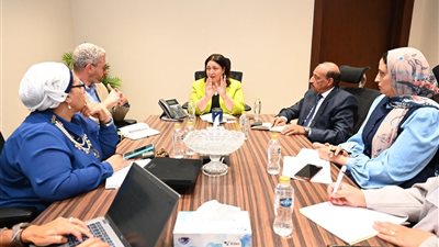  نائبة وزيرة التضامن الاجتماعي تلتقي مدير مشروع تكافؤ الفرص والتنميةالاجتماعية