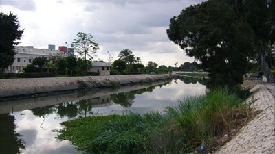 ما هو حكم الوضوء من الترع على حالها؟.. الإفتاء توضح