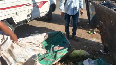 تفاصيل حملات النظافة وضبط النباشين وصيانة الكهرباء بحي فيصل في السويس