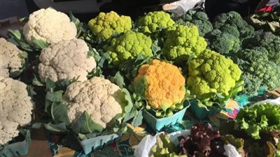 لقلب قوي وجسم صحي… خضراواتك المفضلة سر الوقاية..تعرفي عليها 