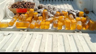 ضبط كمية كبيرة من العسل الأبيض والبلح الفاسدة قبل بيعها للمواطنين ببورسعيد 