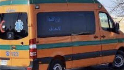 مصرع شخص وإصابة آخرون نتيجه اصطدام سياره ربع نقل برصيف بالدقهلية 