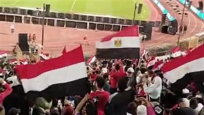 بالأعلام والهتاف.. جماهير مصر تبدأ احتفالية التأهل لكأس العالم من المدرجات