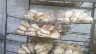 تموين القليوبية يضبط 3 أطنان دقيق و76 مخالفة تموينية متنوعة في يوم واحد