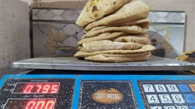 تموين الغربية يحرر 11 محضرًا لمخابز تلاعبت في الوزن والمواصفات 