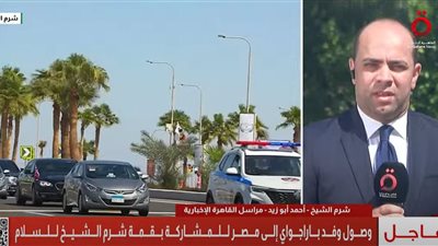 وصول وفد باراجواي إلى مصر للمشاركة بقمة شرم الشيخ للسلام 