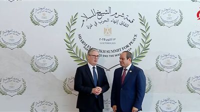 وصول  رئيس الوزراء البريطاني إلى مصر للمشاركة في قمة شرم الشيخ|بث مباشر