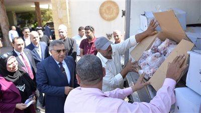 لدعم الأسر الأولي بالرعاية.. محافظ الدقهلية يشهد استلام 2 طن لحوم صكوك 