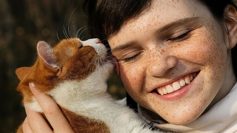 قطة تقترب منك