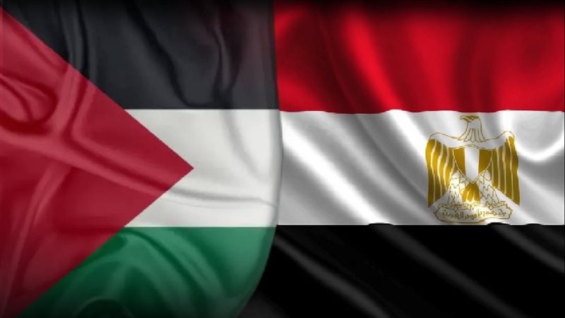 جهود مصر الدبلوماسية