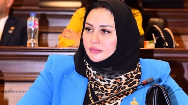 النائبة شيرين صبري