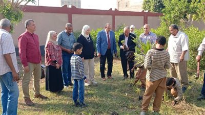 بالمدارس والجامعة التكنولوجية: انطلاق مبادرة «ازرع شتلك» ببنى سويف