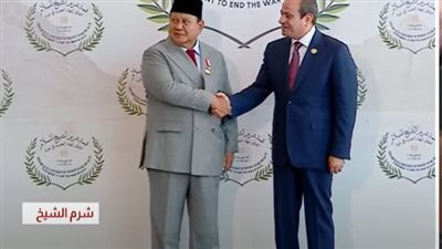 السيسي يستقبل الرئيس الإندونيسي فور وصوله للمشاركة بقمة شرم الشيخ