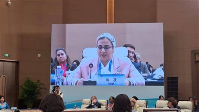 أمل عمار تلقى كلمة مصر في فعاليات القمة العالمية للمرأة 2025  فى الصين