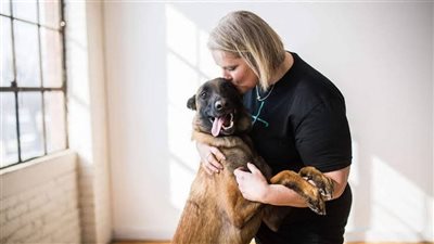 دراسة جديدة تربط بين تربية الكلاب ومكافحة الشيخوخة 