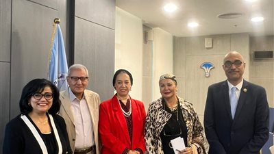 النائبة أمل سلامة:  الكوتة خطوة جوهرية لتمكين المرأة وليست 