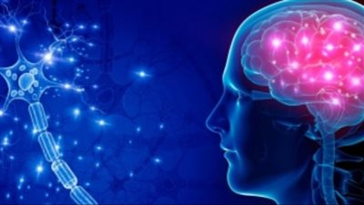 دراسة تكشف..هذا هو العمر الذهبي لأداء العقل البشري 	