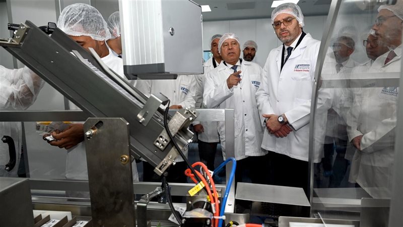 كامل الوزير