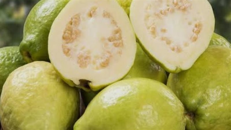 فوائد الجوافه