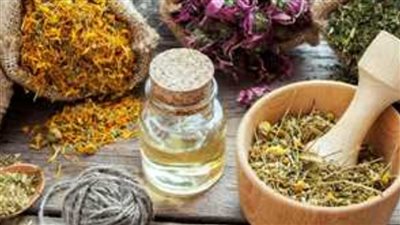 بدون آثار جانبية.. 6 أعشاب لفتح الشهية بطريقة طبيعية