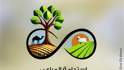 منال عوض: ضرورة تكثيف جهود التعاون العربي المشترك من أجل مواجهة الأزمات 