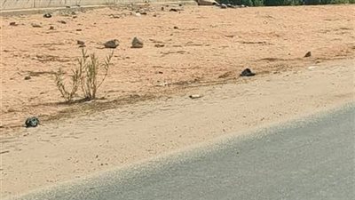 طريق “خمسة حديث” بين الإهمال والتجاهل.. حفر وتلفيات تهدد أرواح الأهالي بدمياط 