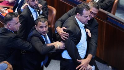 الكنغر وطفله.. النائب الإسرائيلي المطرود من الكنيست يهاجم ترامب ونتنياهو مجددا