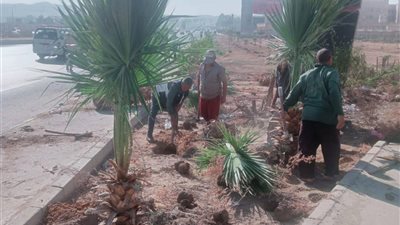 محافظ الجيزة يشدد على استمرار أعمال النظافة والتجميل في الشوارع والميادين