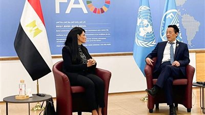 «المشاط» تبحث مع مدير عام الفاو تعزيز الشراكة لتحقيق الأمن الغذائي 