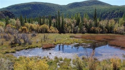 بحلول منتصف القرن الحالي قد تختفي 20% من الأراضي الرطبة في العالم