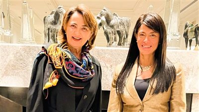 وزيرة التخطيط تبحث تعزيز التعاون مع الأمم المتحدة للتنمية الصناعية