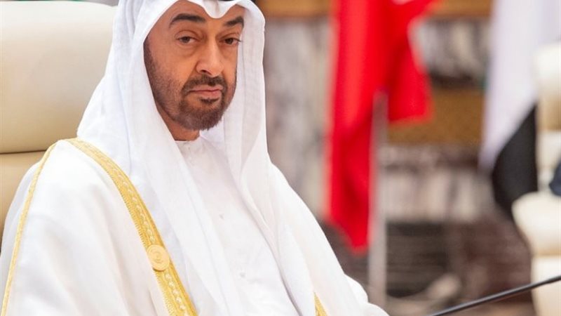 الشيخ محمد بن زايد
