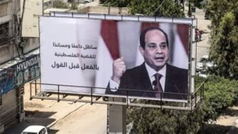 الجهد المصري في