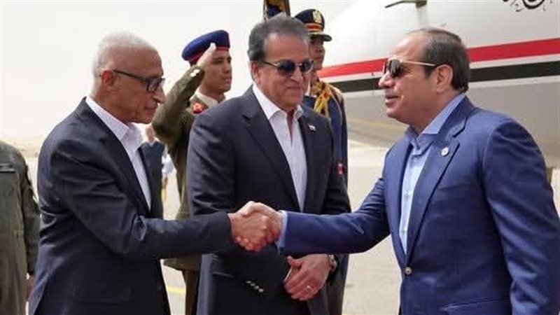 الرئيس السيسي ومحافظ