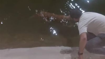 الراحمون يرحمهم الله.. شاب من الأقصر ينقذ كلبًا من الغرق في الأقصر