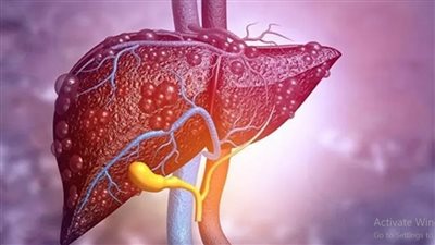 طفرة جديدة.. علماء إسبان يكتشفون إمكانية لعلاج أمراض الكبد بدواءين شائعين