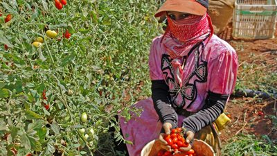القومي للمرأة يطلق حملة ميدانية لدعم وتمكين النساء الريفيات.. تفاصيل