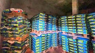 بـ3200 طن مواد فاسدة.. ضبط مصنع خطير لتصنيع الأسمدة المغشوشة بالبحيرة 