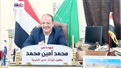 المنيا تستعد لزراعة 217 ألف فدان من القمح بزيادة 4 آلاف فدان