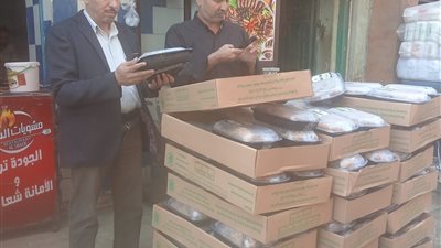 ضبط 3 طن مخلل ومواد غذائية مجهولة المصدر بحملات للصحة والتموين ببني سويف