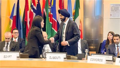 المشاط: ندعو البنك الدولي إلى مزيد من الشراكات لتمكين القطاع الخاص 