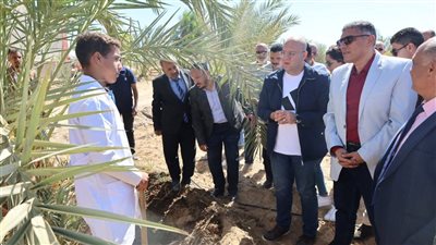 محافظ الجيزة يتابع أعمال الإنشاء للمدرسة الزراعية الثانوية بالواحات البحرية