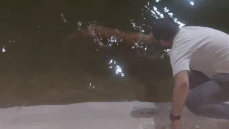 لحظة إنقاذ الشاب
