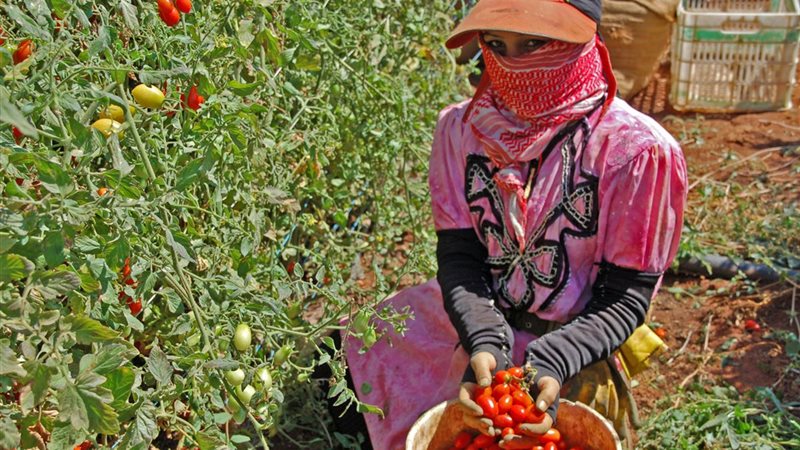 المرأة الريفية