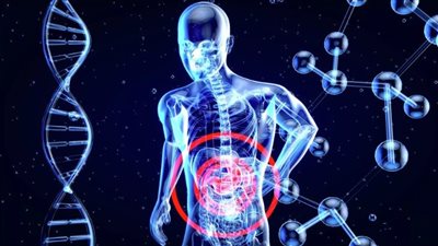 دراسة جديدة.. توضح كيف يعيد رفع الأثقال برمجة الأمعاء؟