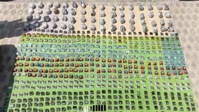 الداخلية تواصل نجاحاتها.. مقتل 3 مجرمين و ضبط مخدرات قيمتها 72مليون جنيه 