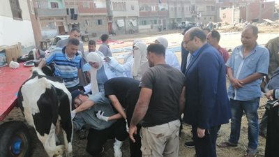 قافلة بيطرية مجانية بقرية شرباص لخدمة المربين وصغار الفلاحين بدمياط