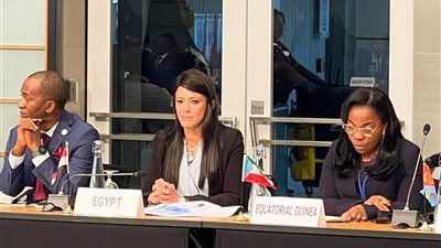 بمشاركة رئيس البنك الدولي.. المشاط تبحث التحول الاقتصادي والتصنيع الدوائي